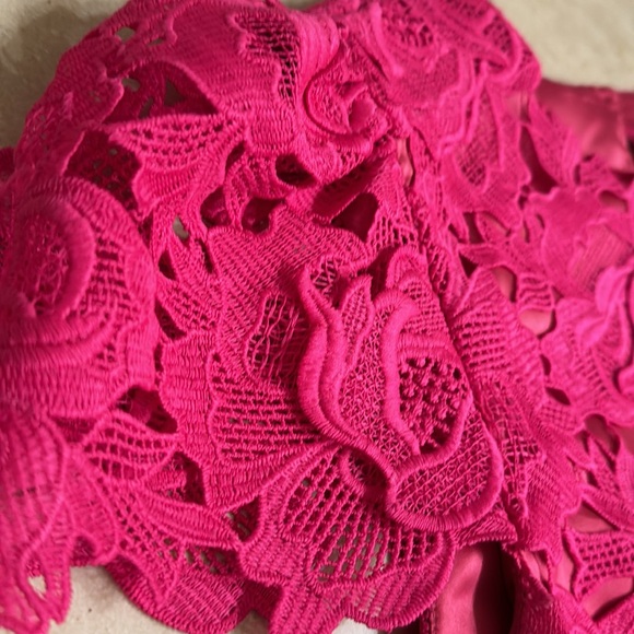 Milly Women's Round Neck Cap Sleeves Lined Lace Blouse Pink Size M - Picture 9 of 9